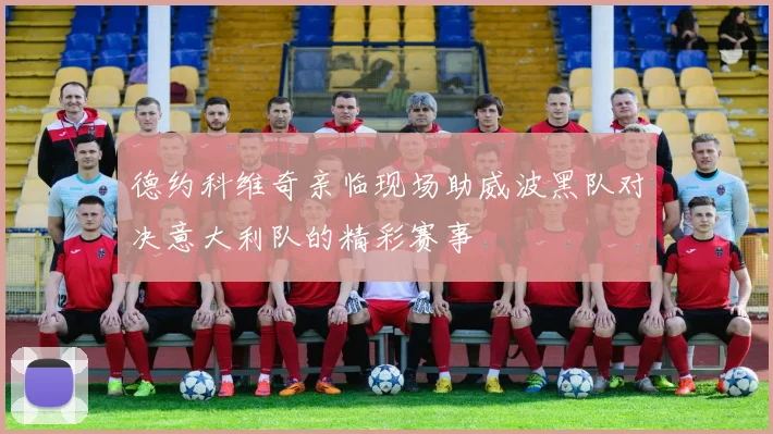德约科维奇亲临现场助威波黑队对决意大利队的精彩赛事